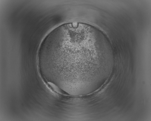 X0000073891517200608251418