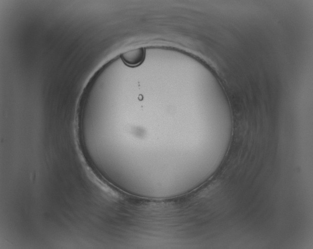 X0000073891518200608251418