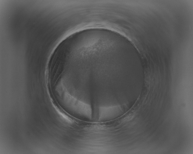 X0000073891519200608251418