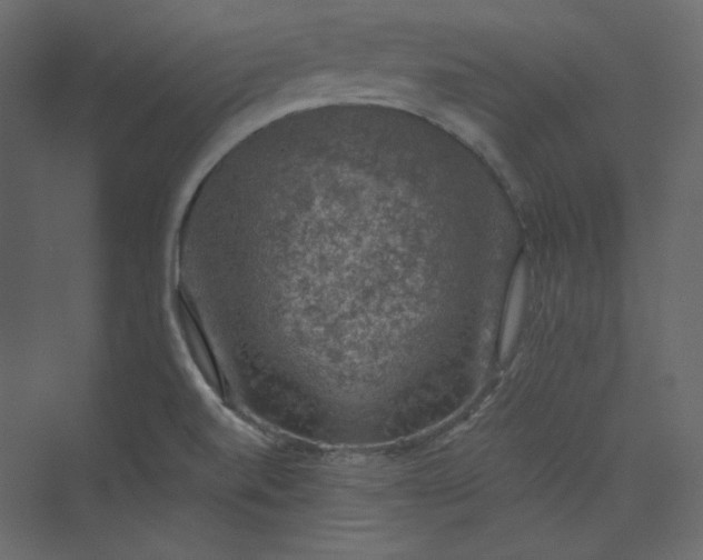 X0000073891520200608251418