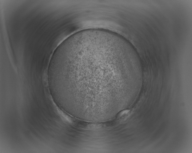 X0000073891521200608251418