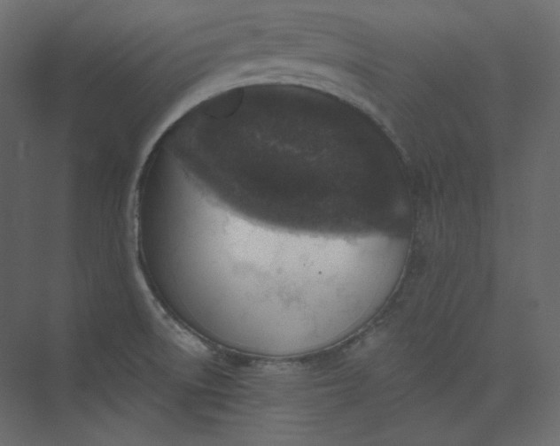 X0000073891522200608251418