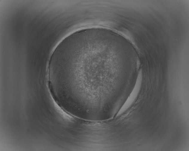 X0000073891524200608251418