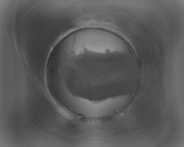 X0000073891525200608251418