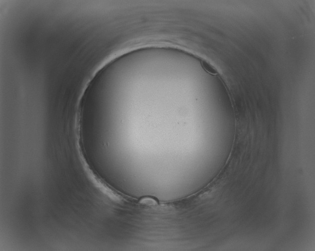 X0000073891526200608251418