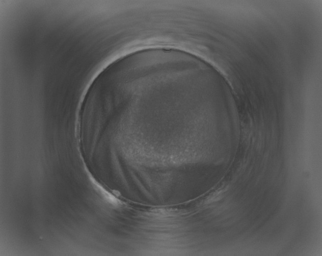 X0000073891527200608251418