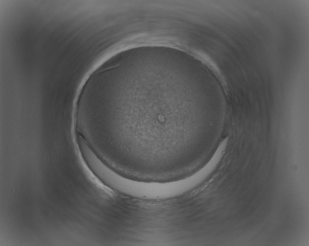 X0000073891528200608251418