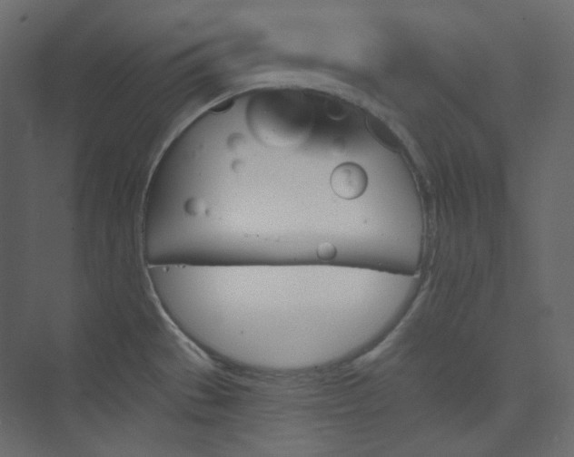 X0000073891529200608251418