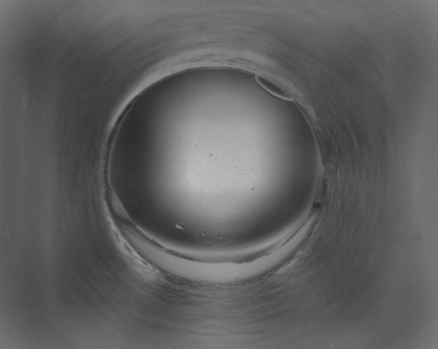 X0000073891530200608251418