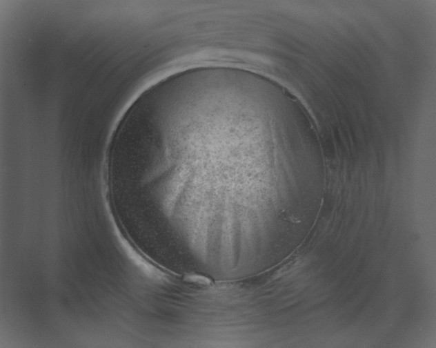 X0000073891531200608251418