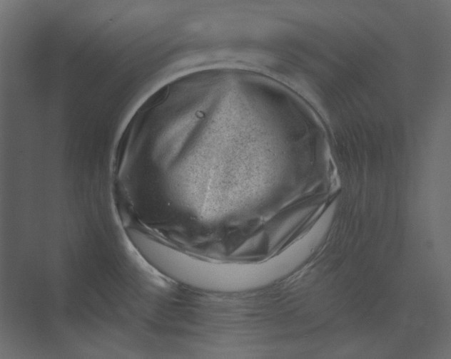 X0000073891532200608251418