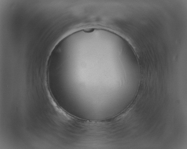 X0000073891534200608251418