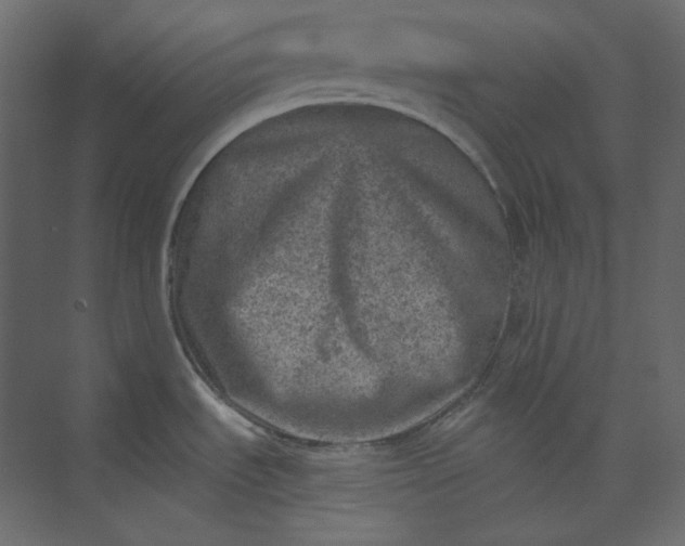 X0000073891535200608251418