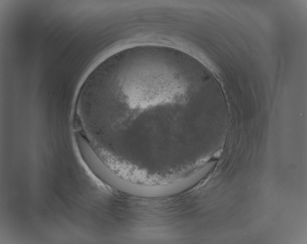 X0000073891536200608251418