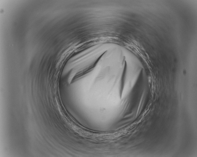 X0000073890001200609011705