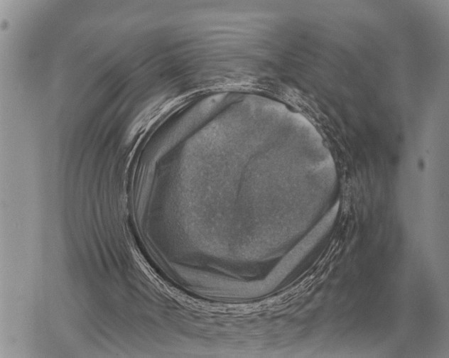 X0000073890002200609011705