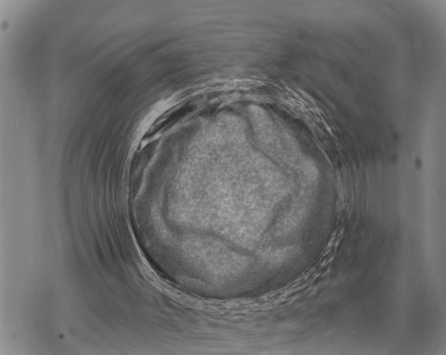 X0000073890003200609011705