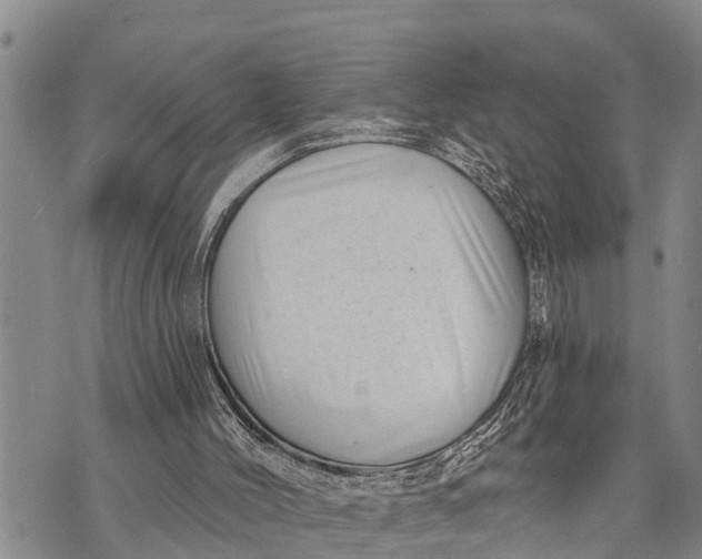 X0000073890004200609011705