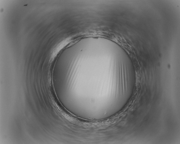 X0000073890005200609011705