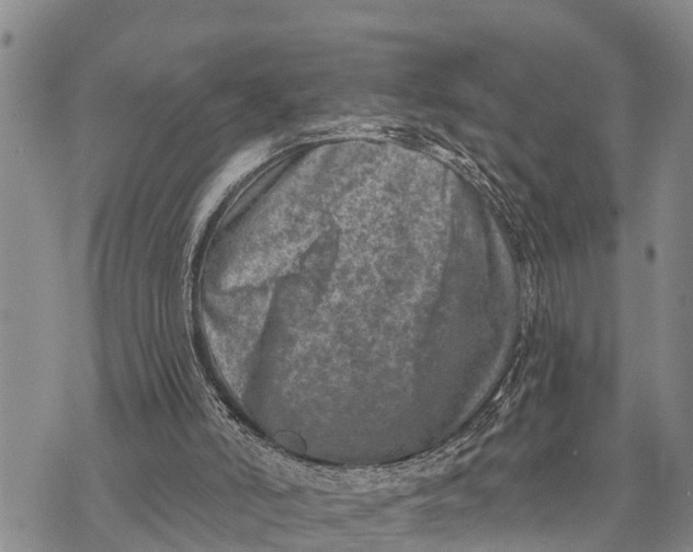 X0000073890006200609011705