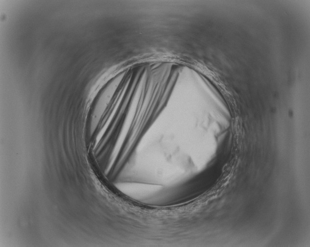 X0000073890007200609011705