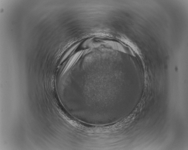 X0000073890009200609011705