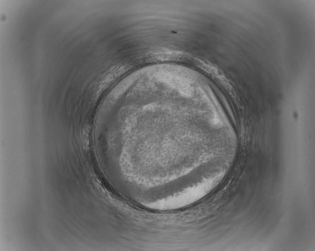 X0000073890010200609011705