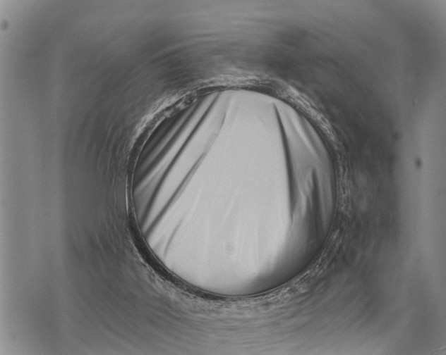 X0000073890011200609011705