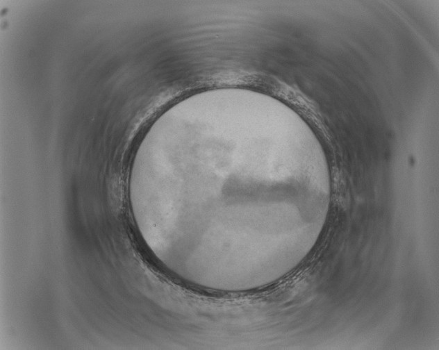 X0000073890012200609011705