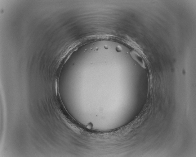 X0000073890013200609011705