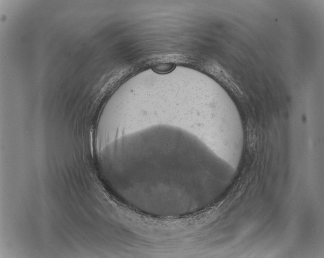 X0000073890014200609011705