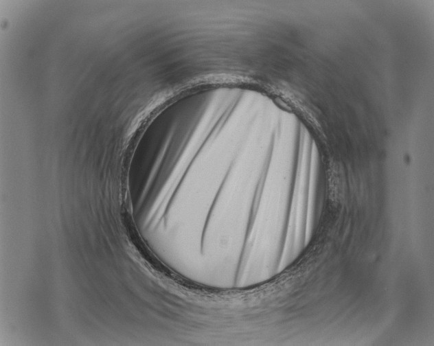 X0000073890015200609011705