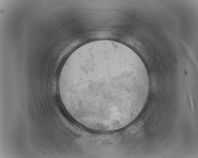 X0000073890016200609011705