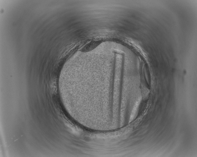 X0000073890017200609011705