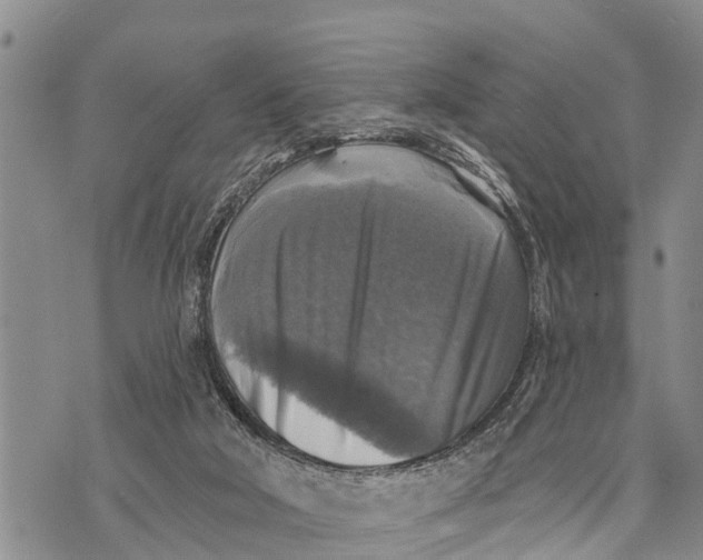 X0000073890018200609011704