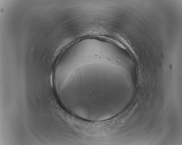 X0000073890019200609011704