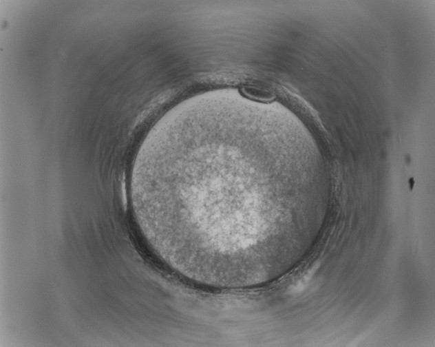 X0000073890020200609011704