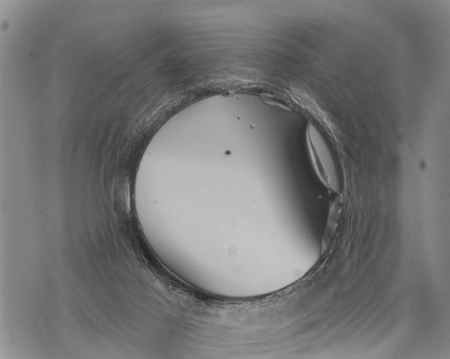 X0000073890021200609011704