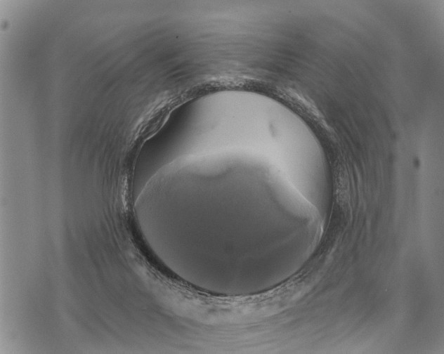 X0000073890023200609011704