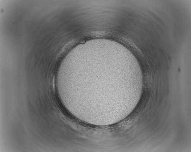 X0000073890024200609011704