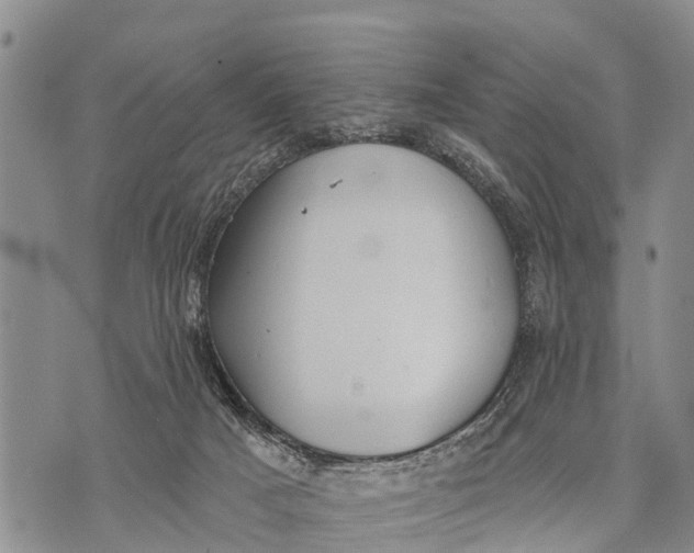 X0000073890025200609011704