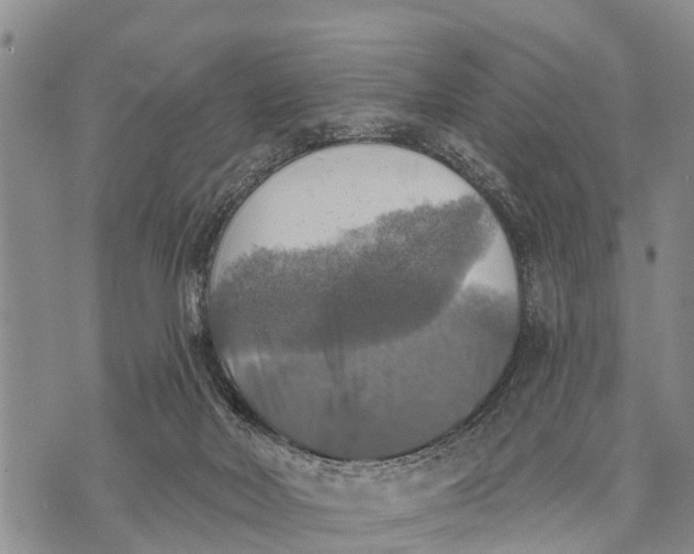 X0000073890026200609011704