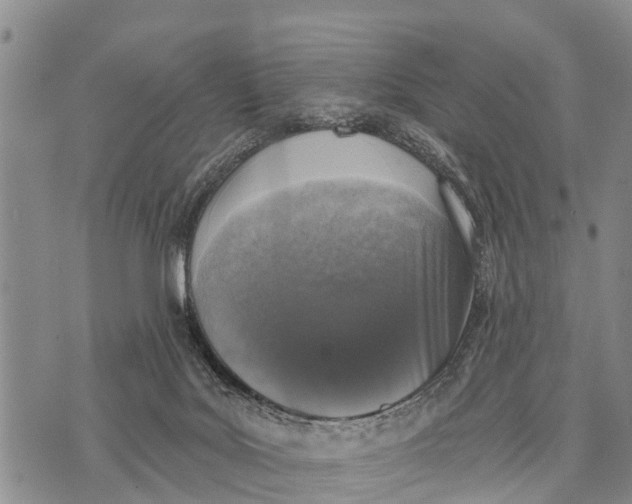 X0000073890027200609011704