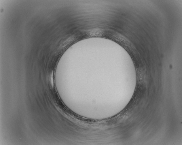 X0000073890028200609011704