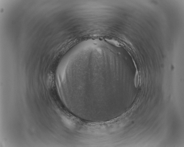 X0000073890029200609011704