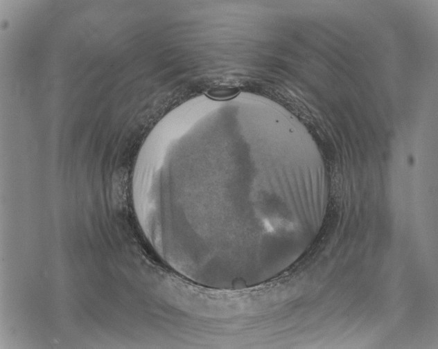 X0000073890030200609011704