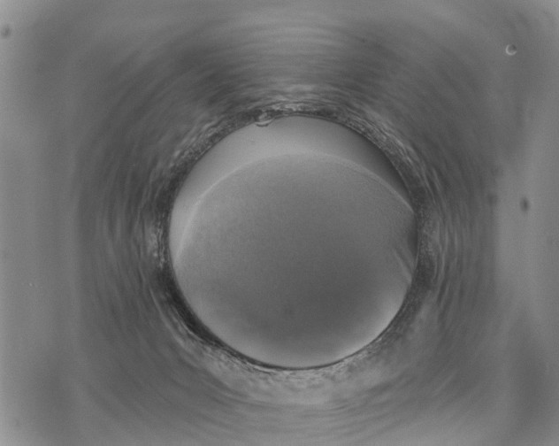 X0000073890031200609011704