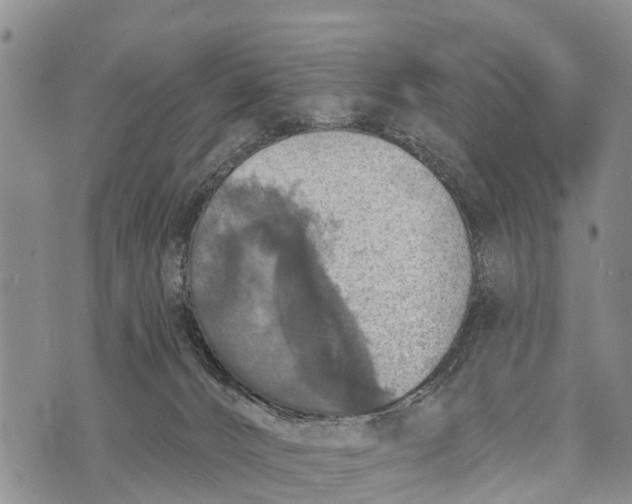 X0000073890032200609011704