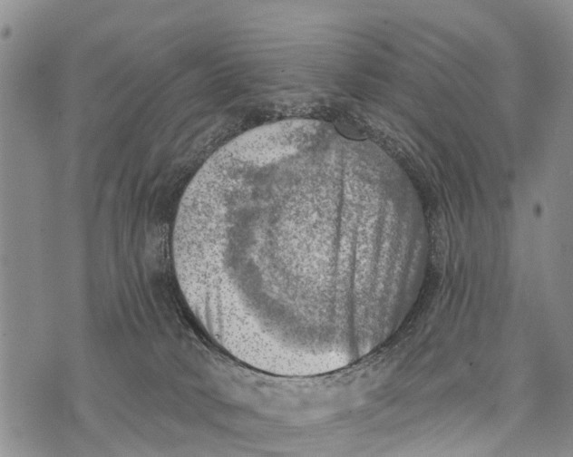 X0000073890034200609011704