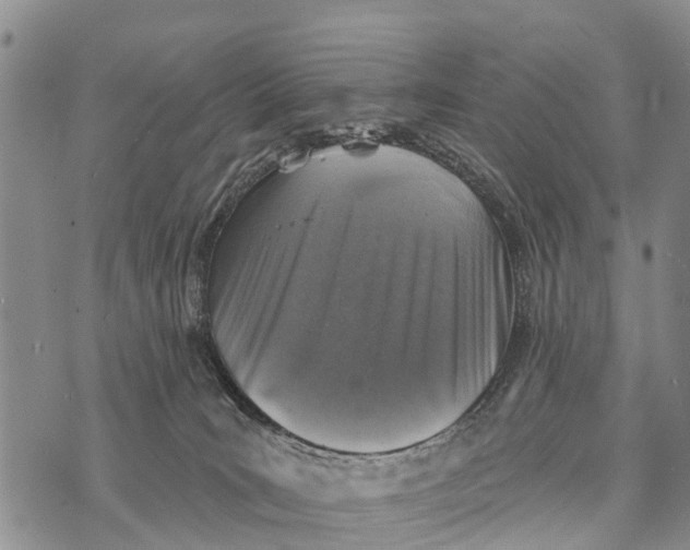 X0000073890035200609011704